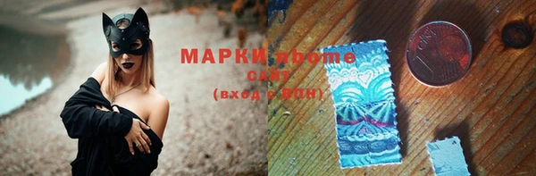 хмурый Алексин