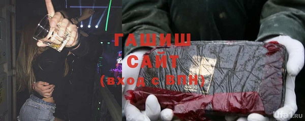 хмурый Алексин