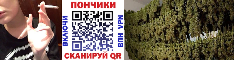 купить наркоту  мега ССЫЛКА  Марихуана сатива  Новоульяновск 